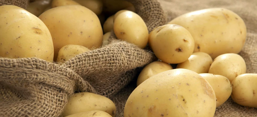Рецепт приготовления браги из картофеля в домашних условиях