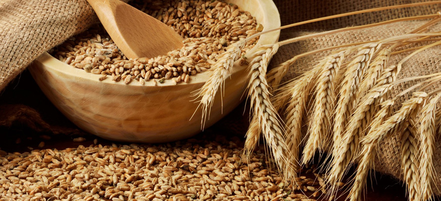 Какой выход самогона из пшеничной браги