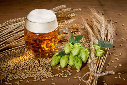 Как сварить домашнее пиво из концентрата? Подготовка, брожение и выдержка в домашних условиях