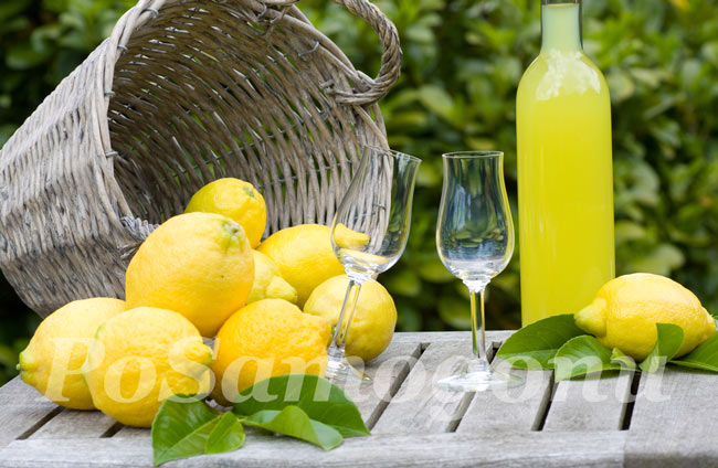 Ликер Лимончелло на самогоне – лучшие рецепты в домашних условиях. Самостоятельное приготовление лимонной настойки