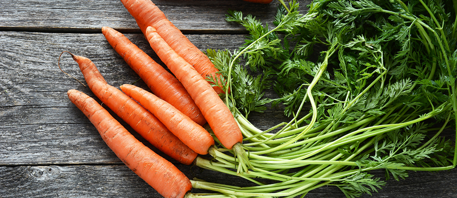 Рецепт приготовления настойки на моркови на водке (спирту, самогоне)