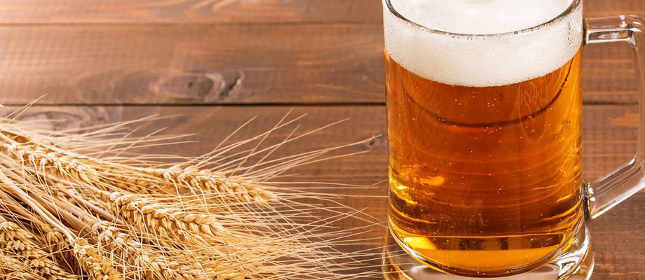 Рецепт приготовления пшеничного эля в домашних условиях